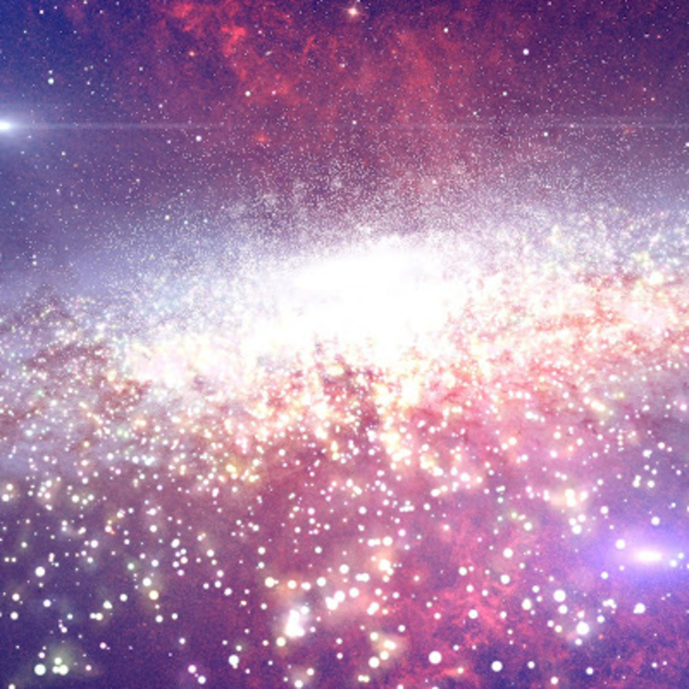 Meet your Posher, Aden